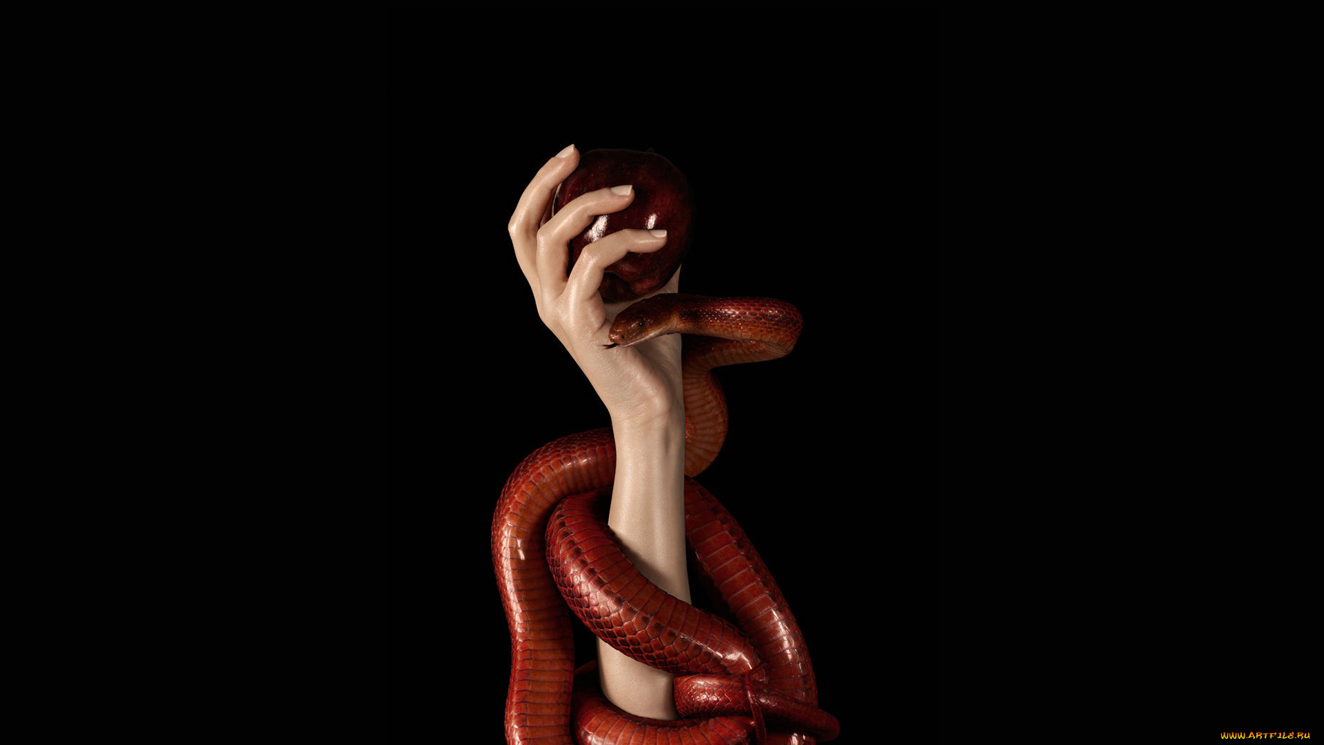 , , , , , 